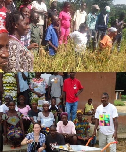 RICCE supply tools, seeds to farmer adjacent to the East Nimba Nature Reserve to support their livelihood and conducts harvest launch with funding from ArcelorMittal Mining Company BCP program